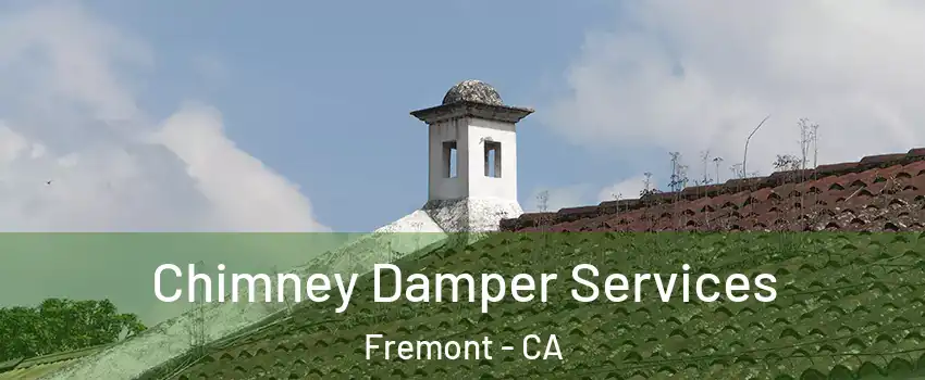  Chimney Damper Services Fremont - CA