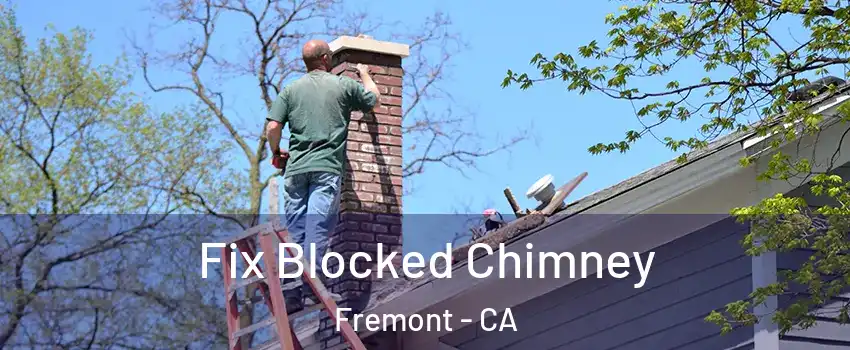  Fix Blocked Chimney Fremont - CA